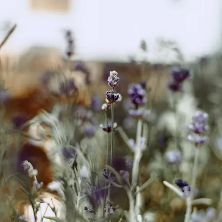 Hébergement de vacances River Trulli Oasi Di Pace In Sito Unesco